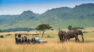 701 Lewa Conservancy